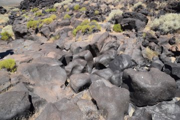 DSC_0088.JPG